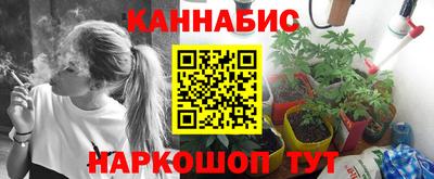 СК Владивосток
