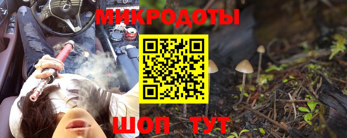 Галлюциногенные грибы мицелий Артём