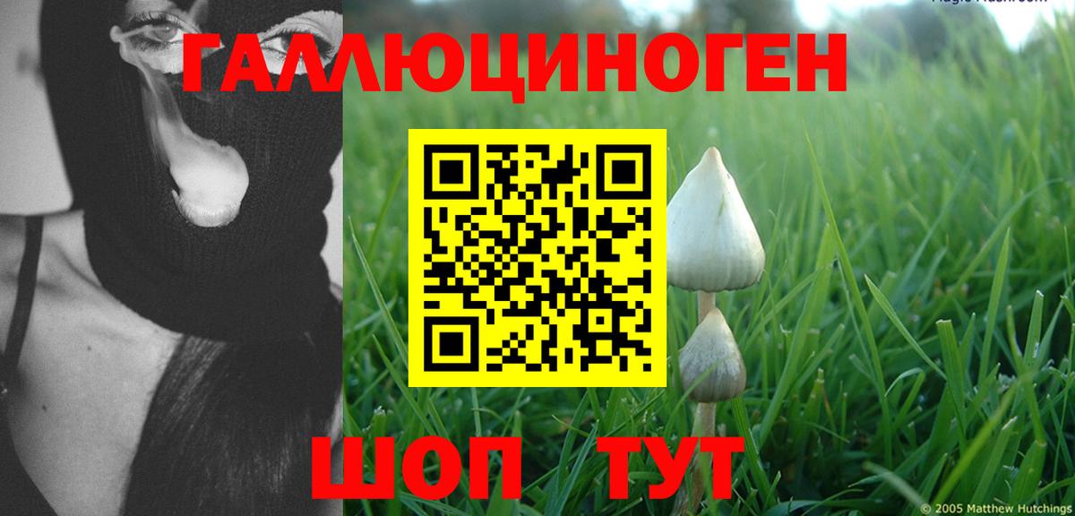Артём  Псилоцибиновые грибы Magic Shrooms  Галлюциногенные грибы MAGIC MUSHROOMS  Вход с VPN 